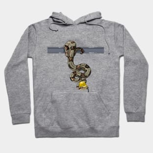 Boa Constructor Hoodie